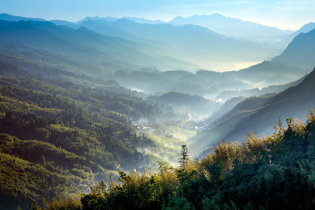 凤岗水稻基地介绍