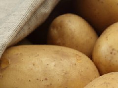 土豆种植管理
